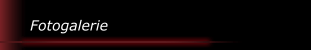 Fotogalerie